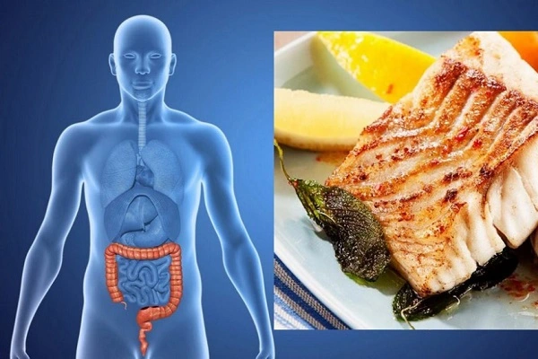 تاثیر رژیم غذایی گیاهخواری بر روی سرطان روده