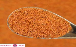 تاثیر خاکشیر روی کبد چرب و طریقه مصرف آن 